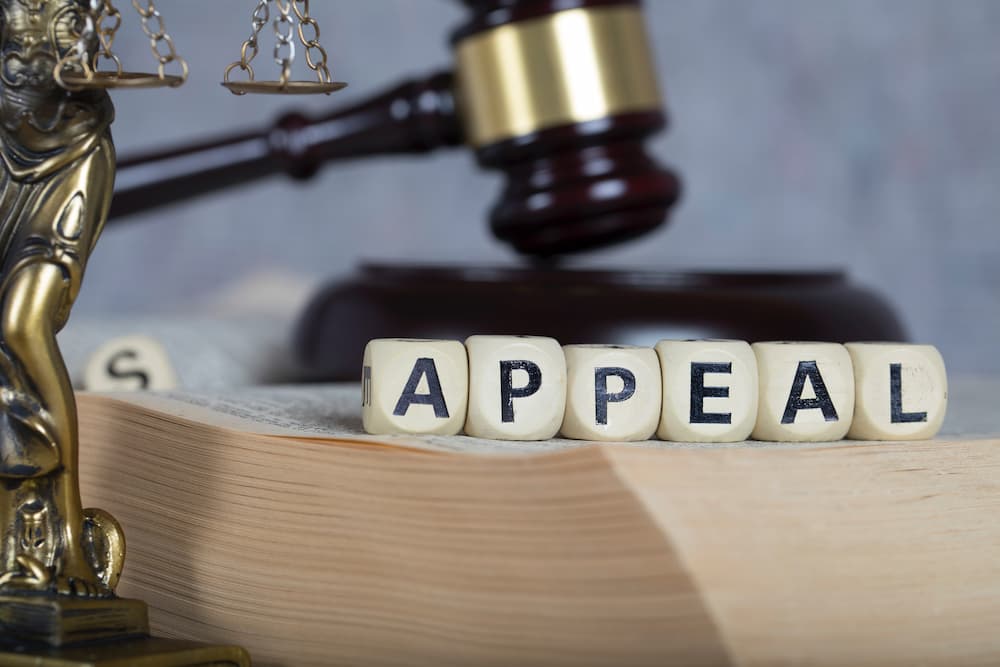 when should I file an appeal