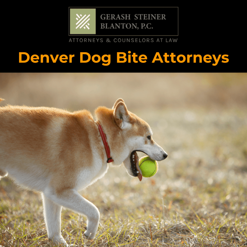 Denver dog bite lawyers