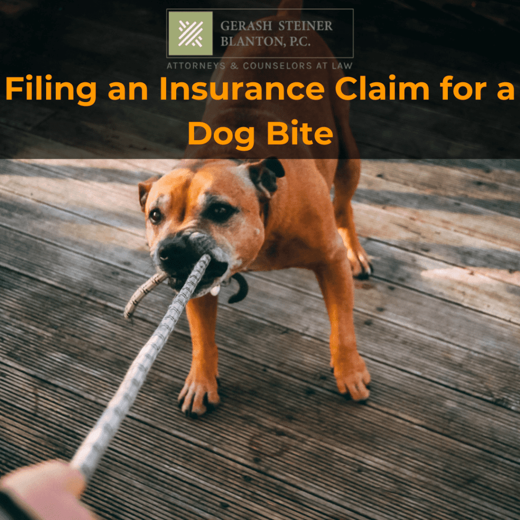 How to File an Insurance Claim for a Dog Bite in Colorado